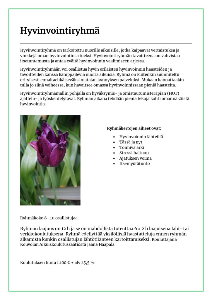 Hyvinvointiryhmän esite
